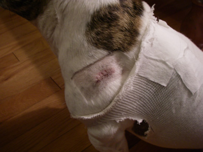 e0008833_13103817.jpg