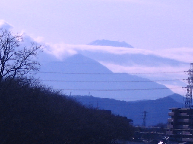 b0088037_838984.jpg