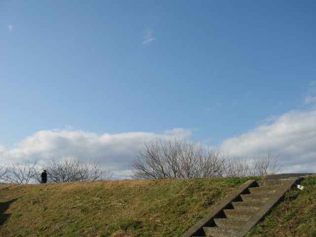 b0088037_8404631.jpg
