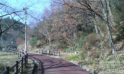 e0043537_1133242.jpg