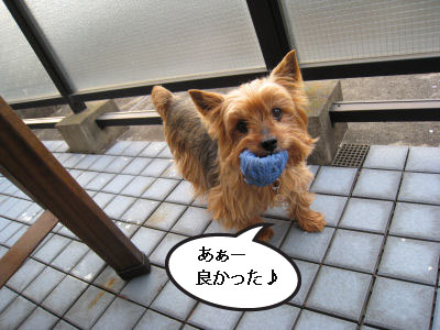 又遊ぼうよね~♪"