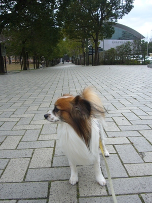 e0100046_14282313.jpg