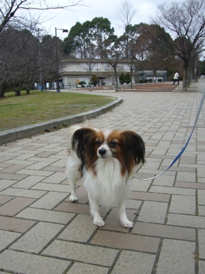 e0100046_152861.jpg