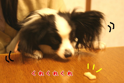 d0013149_241875.jpg