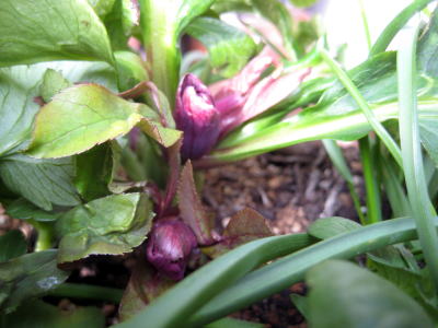 c0147952_2025488.jpg