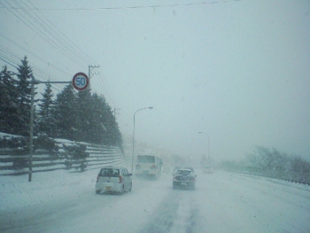 a0004359_2022866.jpg