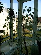 f0097363_17532758.jpg