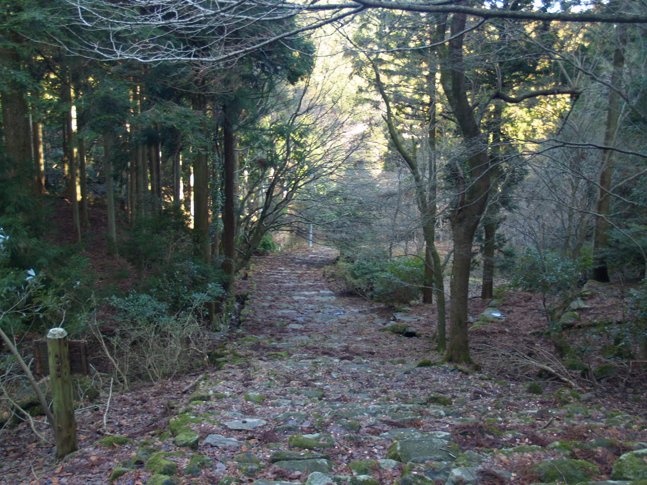 f0016066_20465025.jpg