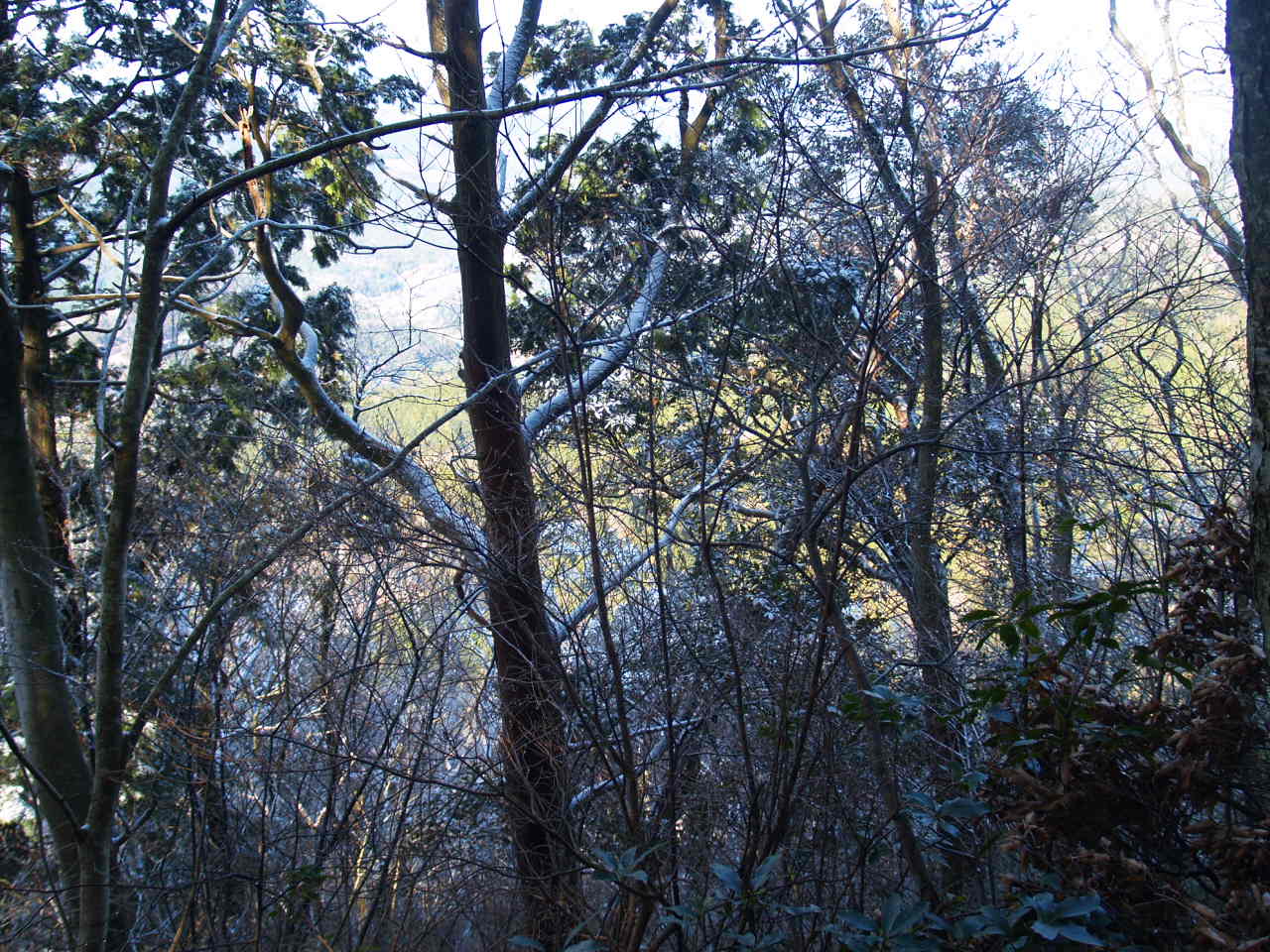 f0016066_2115595.jpg