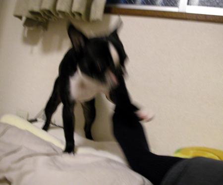 c0032567_21193248.jpg