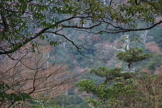 d0079278_9393340.jpg