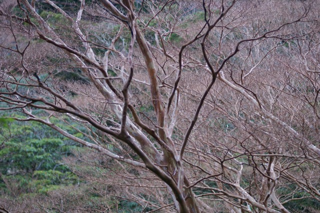 d0079278_9395072.jpg