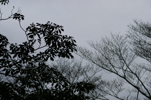 d0079278_940773.jpg