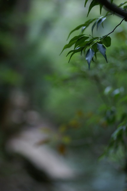 d0079278_9485515.jpg
