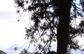 c0155198_23153921.jpg