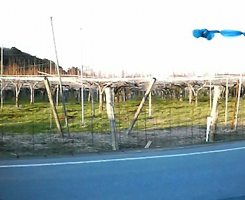 d0113900_0184859.jpg