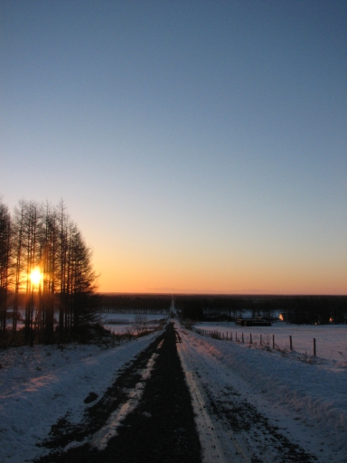 f0020302_21151782.jpg