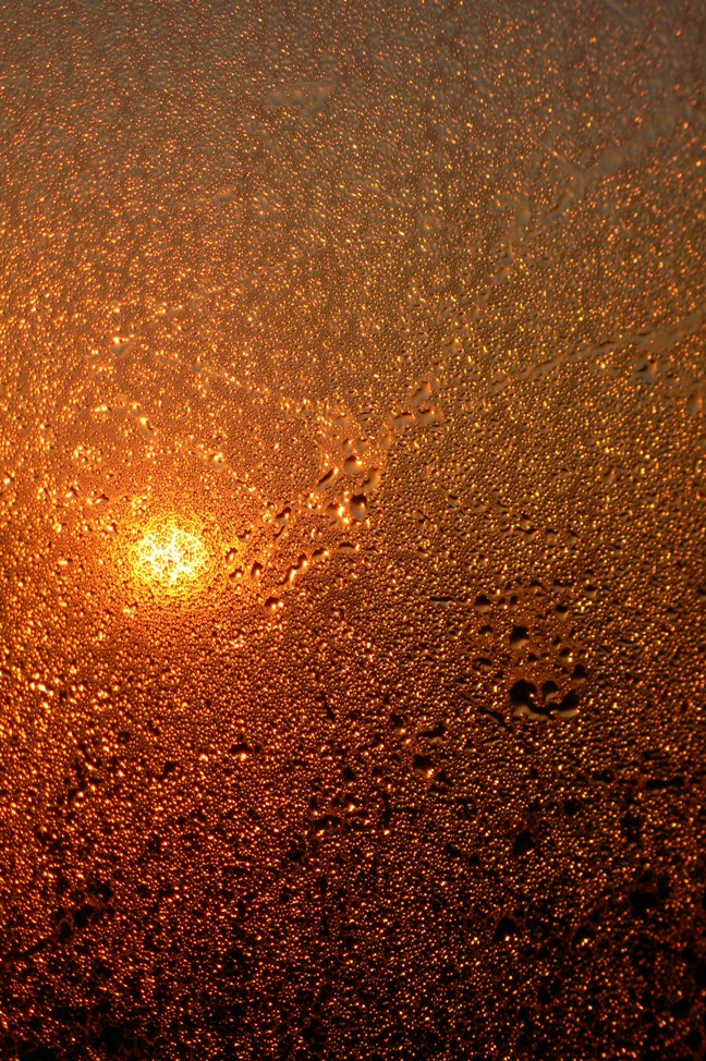 d0136804_19341883.jpg
