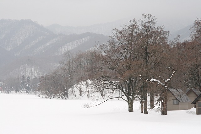 c0130306_6533982.jpg
