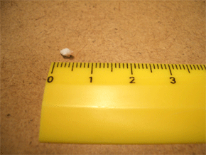 c0143711_2171678.gif