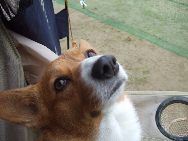 c0127617_21363618.jpg