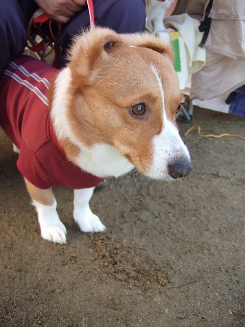 c0127617_21375265.jpg