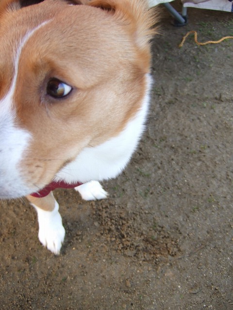 c0127617_2141185.jpg