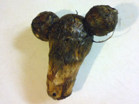 c0012120_1105444.jpg