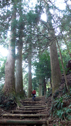 f0060424_1834579.jpg