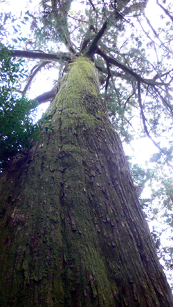 f0060424_183523100.jpg