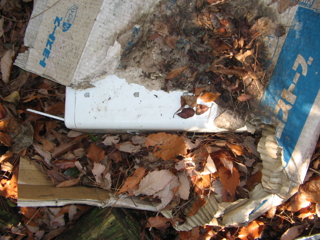 f0009128_17155491.jpg