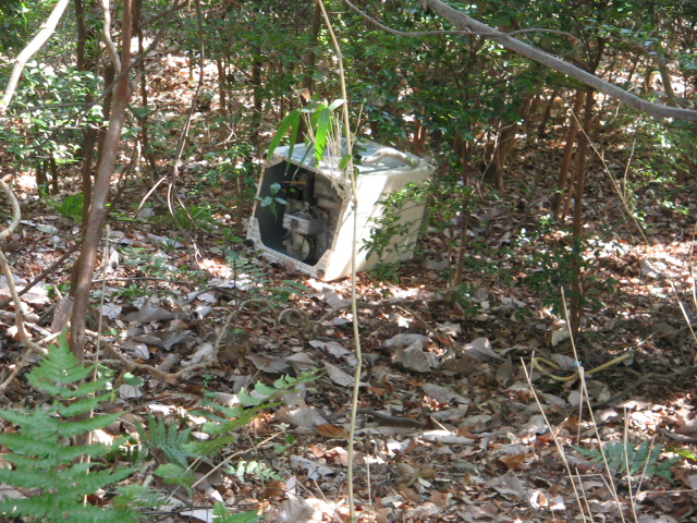 f0009128_17164398.jpg