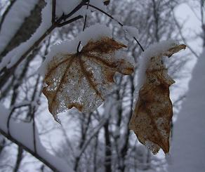 f0118332_20371534.jpg