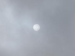 f0118332_204454.jpg