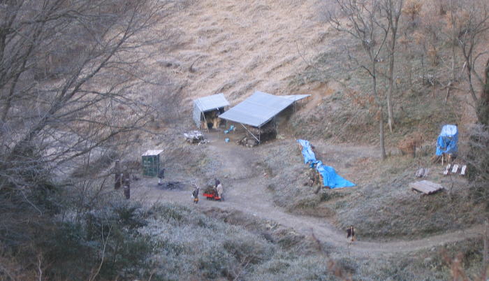 e0049740_20235071.jpg