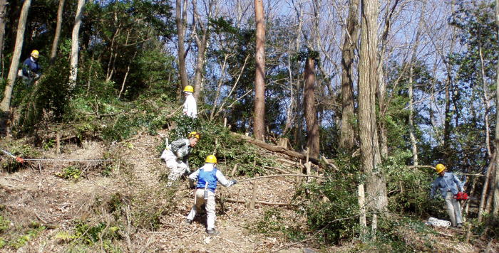 e0049740_20581014.jpg