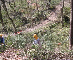 e0049740_21151780.jpg