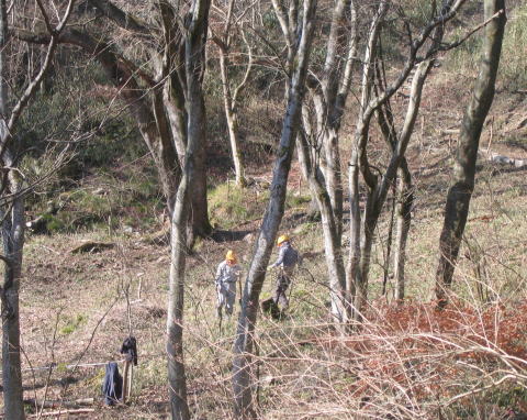 e0049740_21275248.jpg