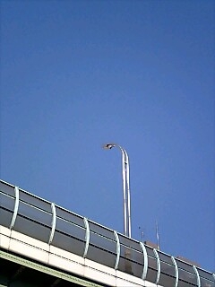 f0133340_1505282.jpg
