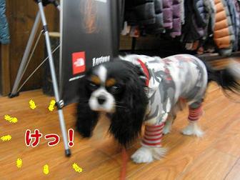 c0145250_1216278.jpg