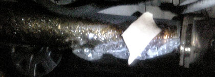 c0039153_21582188.jpg