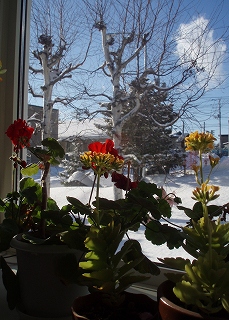 e0004756_21581711.jpg