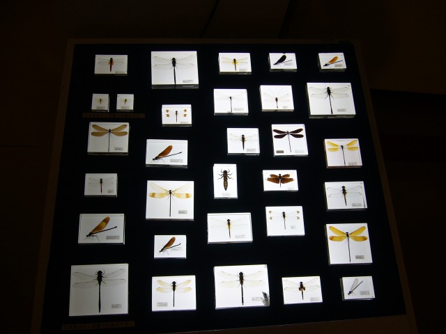d0094165_22184960.jpg