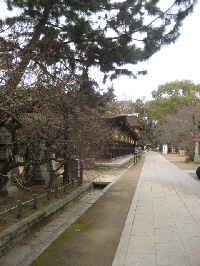 b0117276_17432935.jpg