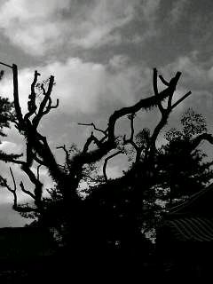 f0100480_19433890.jpg