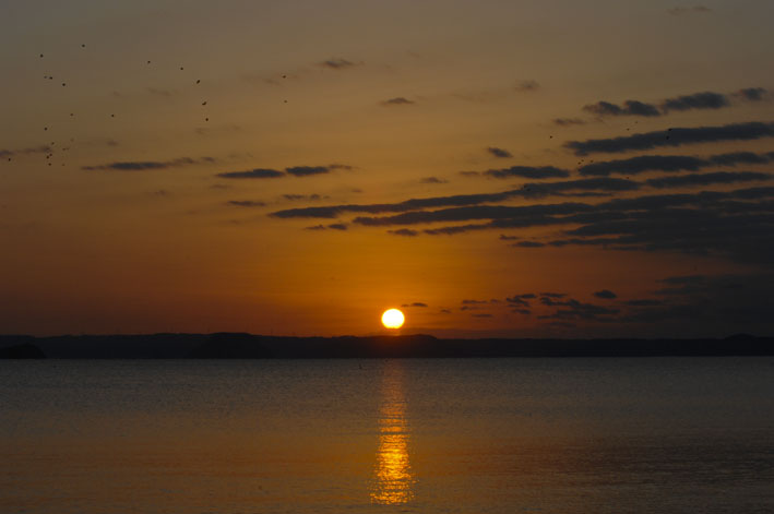 f0112087_1532580.jpg
