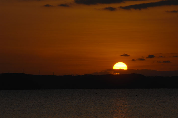 f0112087_1542464.jpg