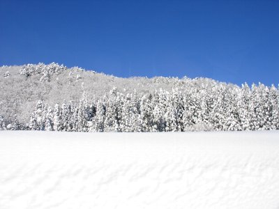 a0031000_0303414.jpg
