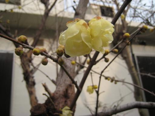 a0101802_2261289.jpg