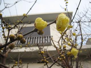 a0101802_2273437.jpg